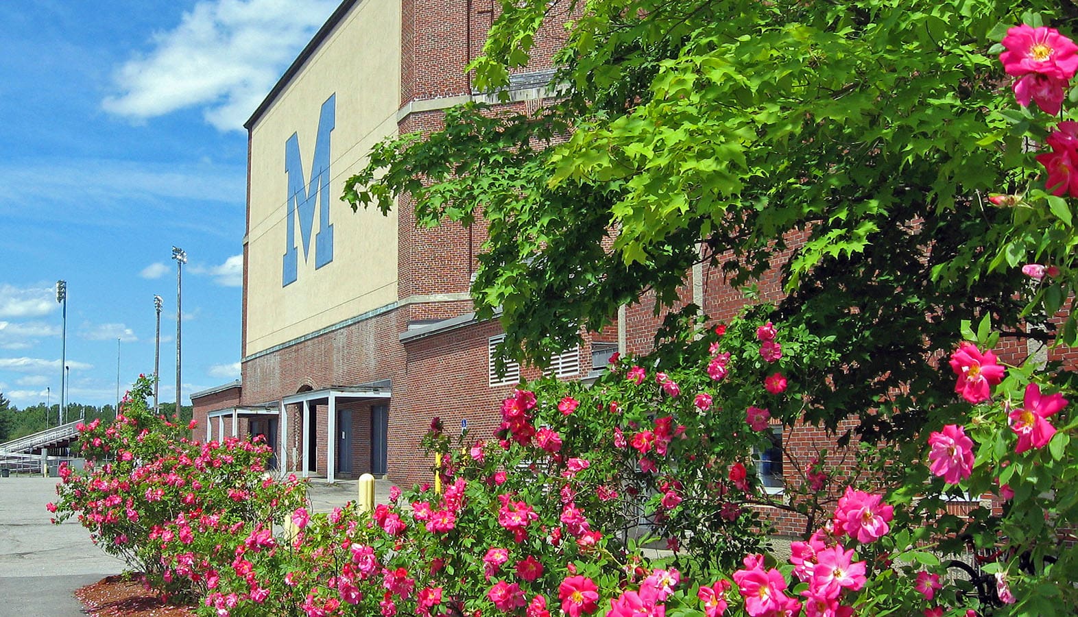 University of Maine Career Fair Woodard & Curran