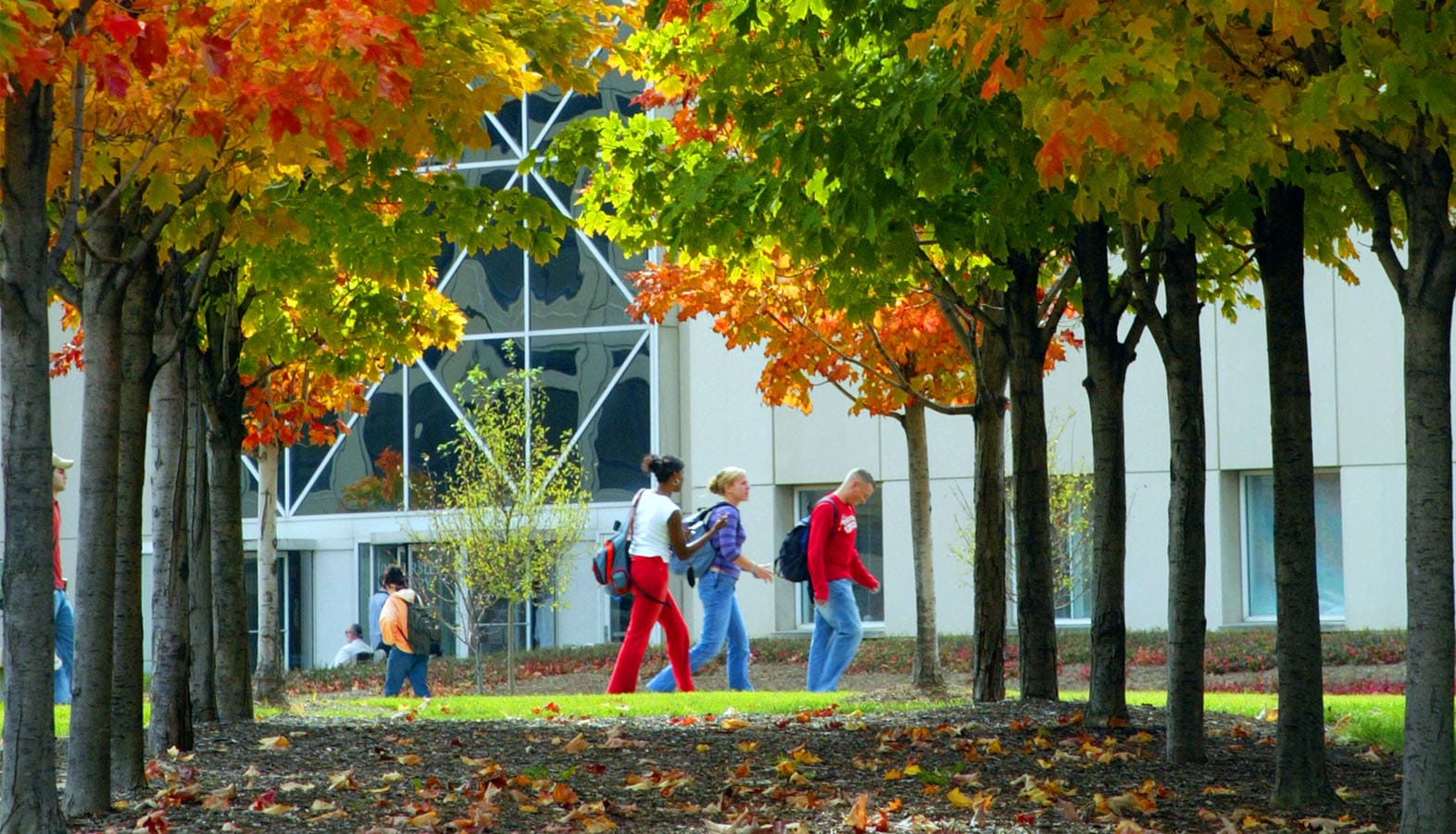 University of Missouri Engineering Career Fair Woodard & Curran