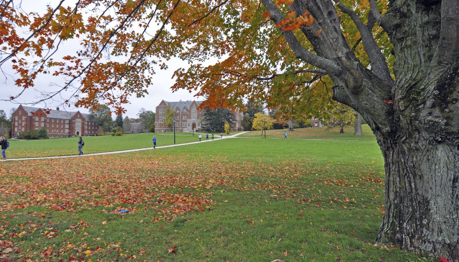 UConn Career Fair for STEM Majors Woodard & Curran